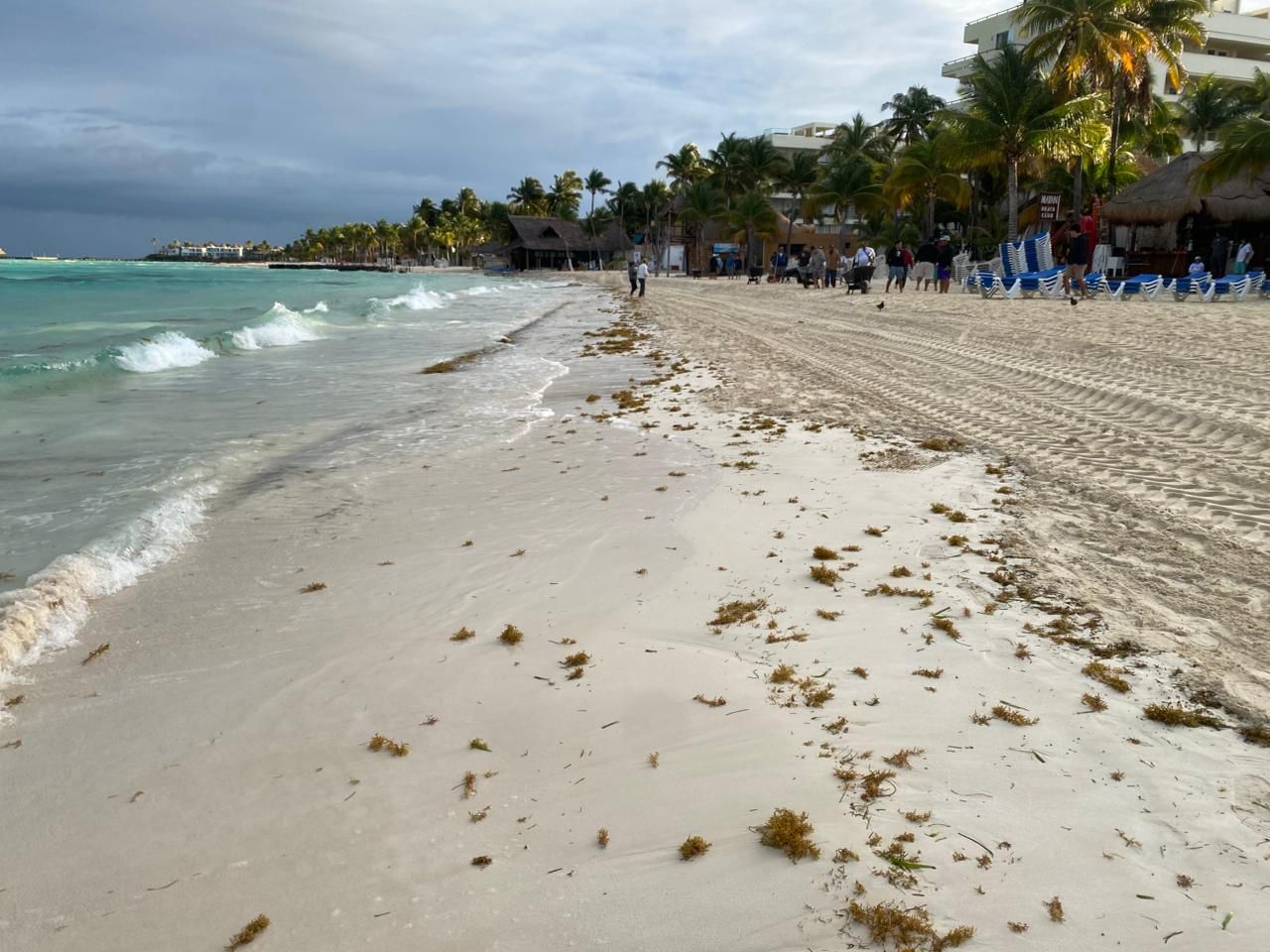 Gobierno de Isla Mujeres atiende con inmediatez recale atípico de ...